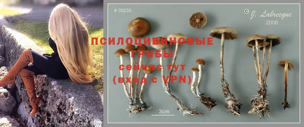 героин Абаза