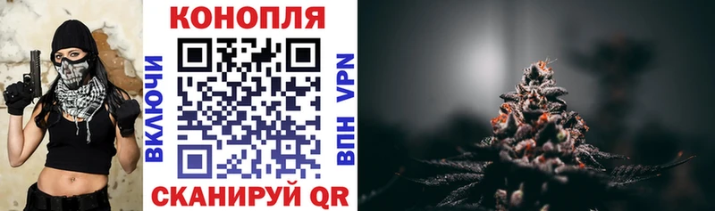 Конопля OG Kush Урень